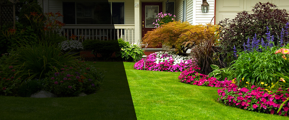 Carl Junction Landscapers