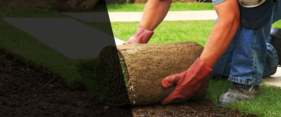 Carl Junction Landscapers